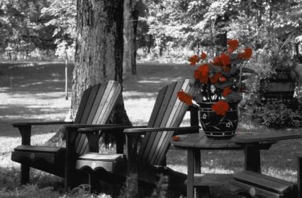 Garden Chairs With Red Flowers In A Pot